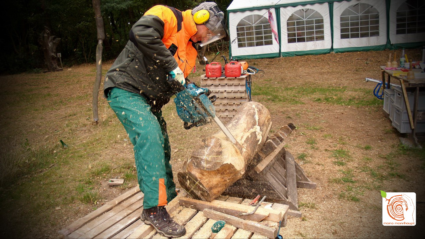 Holz Bildhauerkurs K2 mit Kettensaege